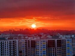 Blk 815A Keat Hong Quad (Choa Chu Kang), HDB 4 Rooms #613694061